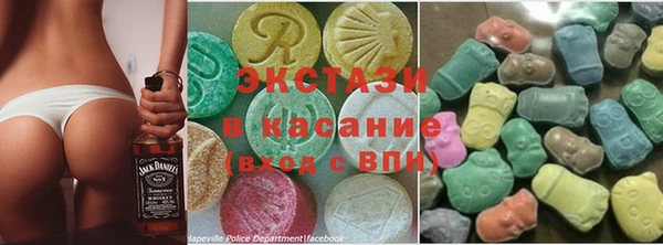 шишки Лабытнанги
