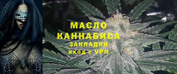 шишки Лабытнанги