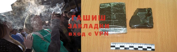шишки Лабытнанги
