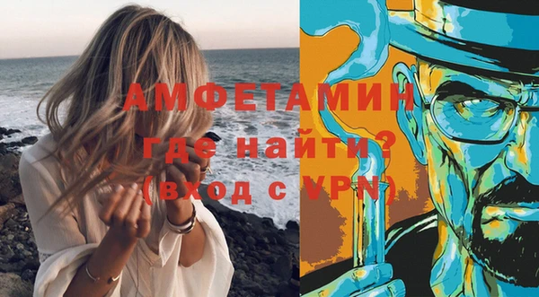 шишки Лабытнанги