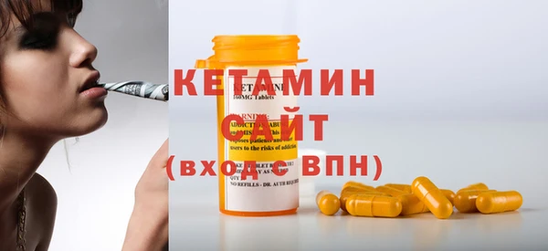 шишки Лабытнанги