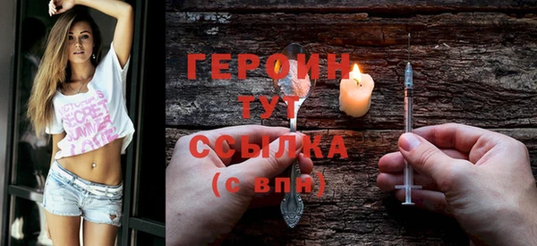 шишки Лабытнанги