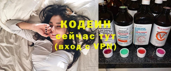 шишки Лабытнанги