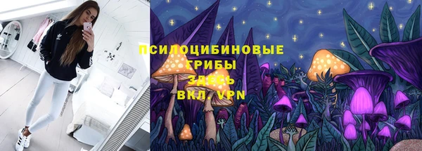 соль курить ск Ладушкин