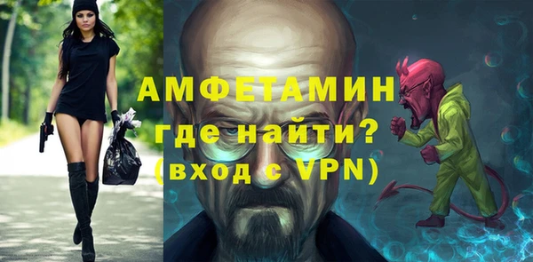 шишки Лабытнанги