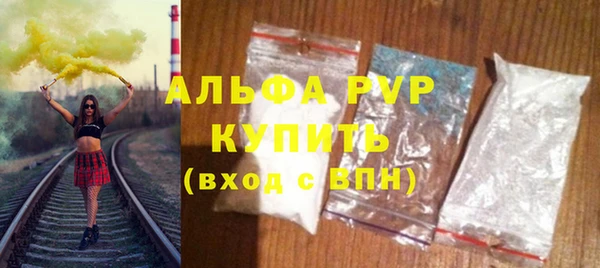 шишки Лабытнанги