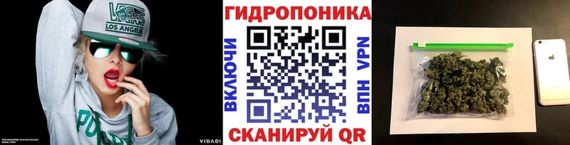 как найти наркотики Белёв МАРИХУАНА Ganja